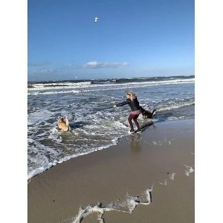 Hedigen Hues Comfortable * Westerland